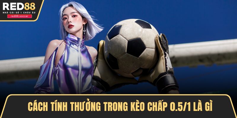 Cách tính thưởng trong kèo chấp 0.5/1 là gì
