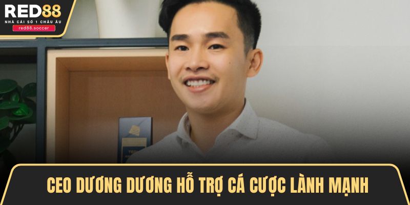 CEO Dương Dương hỗ trợ cá cược lành mạnh