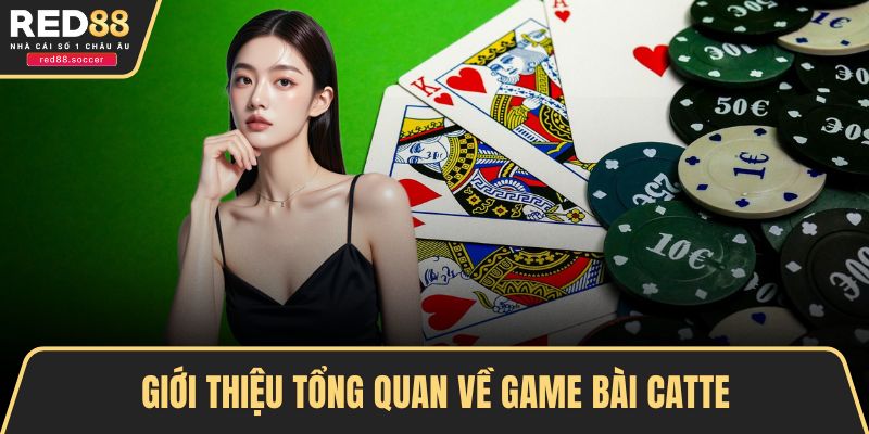 Giới thiệu tổng quan về game bài Catte