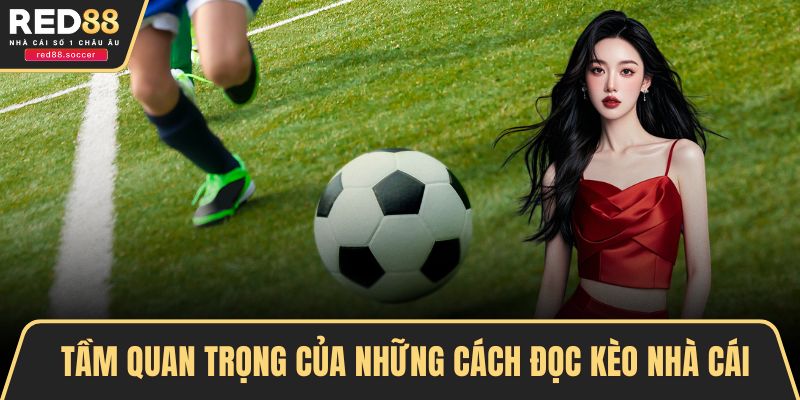 Tầm quan trọng của những cách đọc kèo nhà cái
