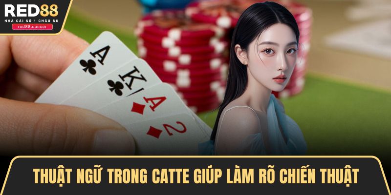 Thuật ngữ trong Catte giúp làm rõ chiến thuật
