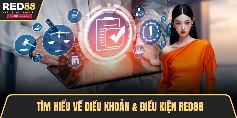 Tìm hiểu về điều khoản & điều kiện RED88